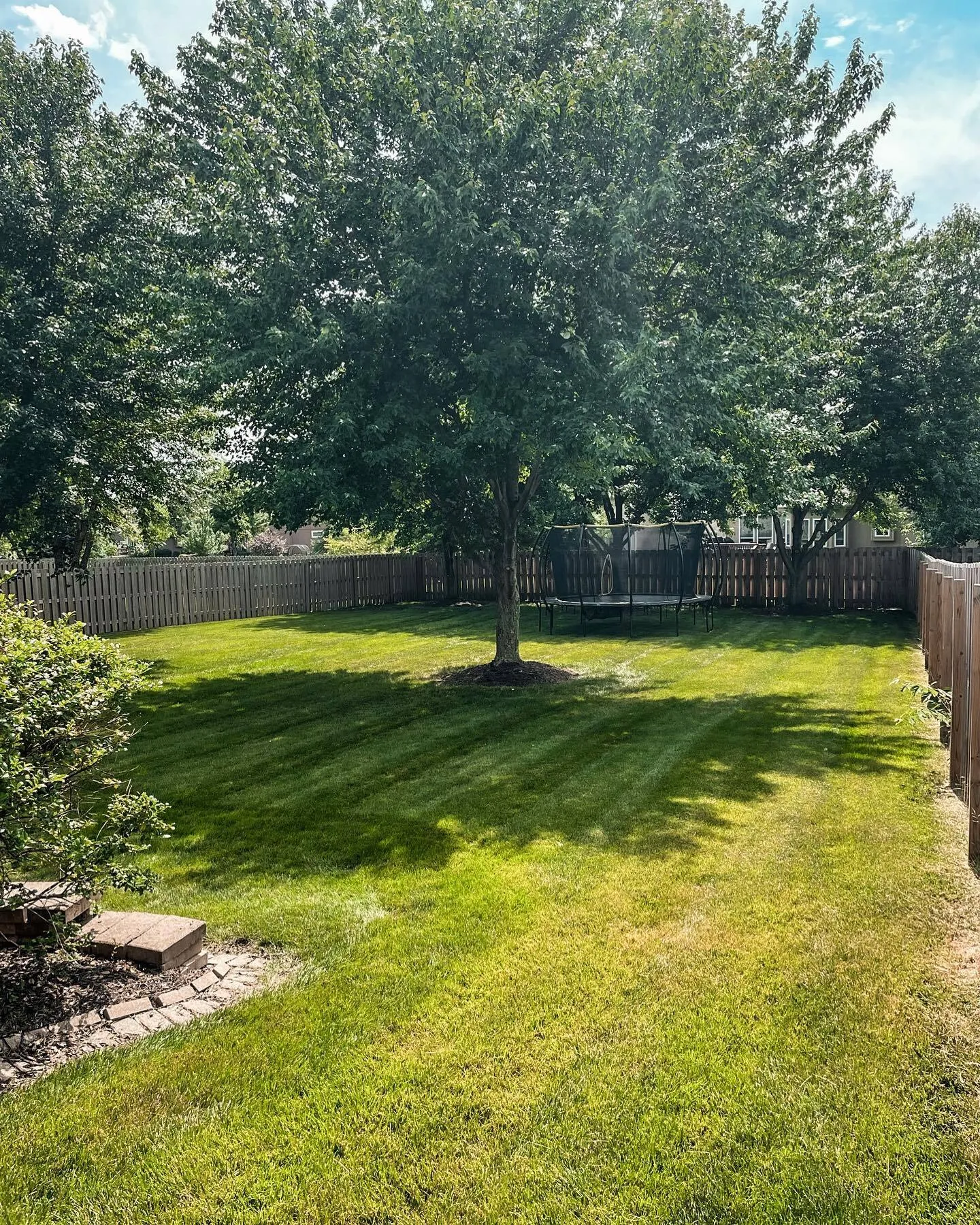 Healthy, weed-free lawn maintained by Urban Diamond