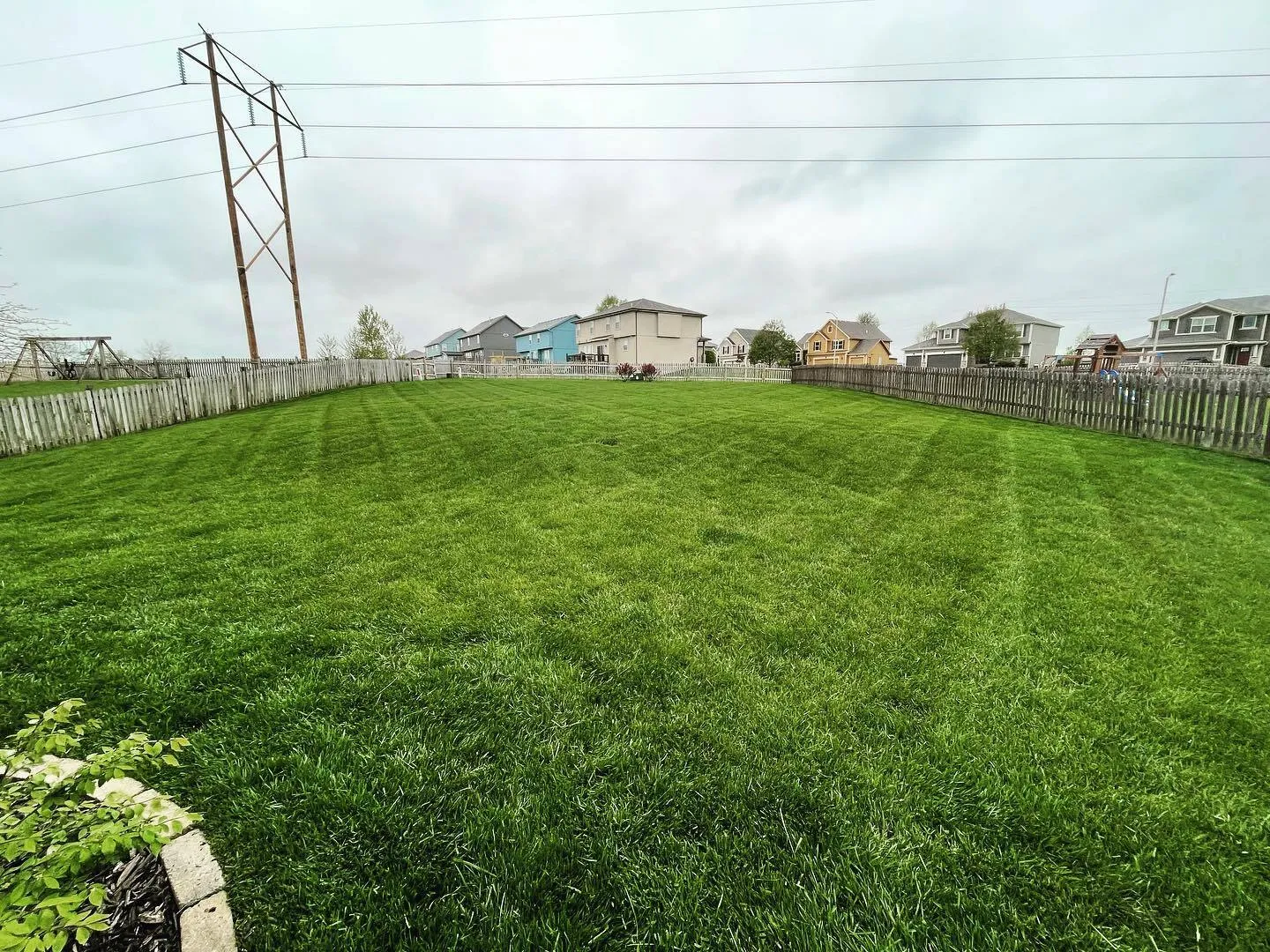 Thick lawn in fenced yard