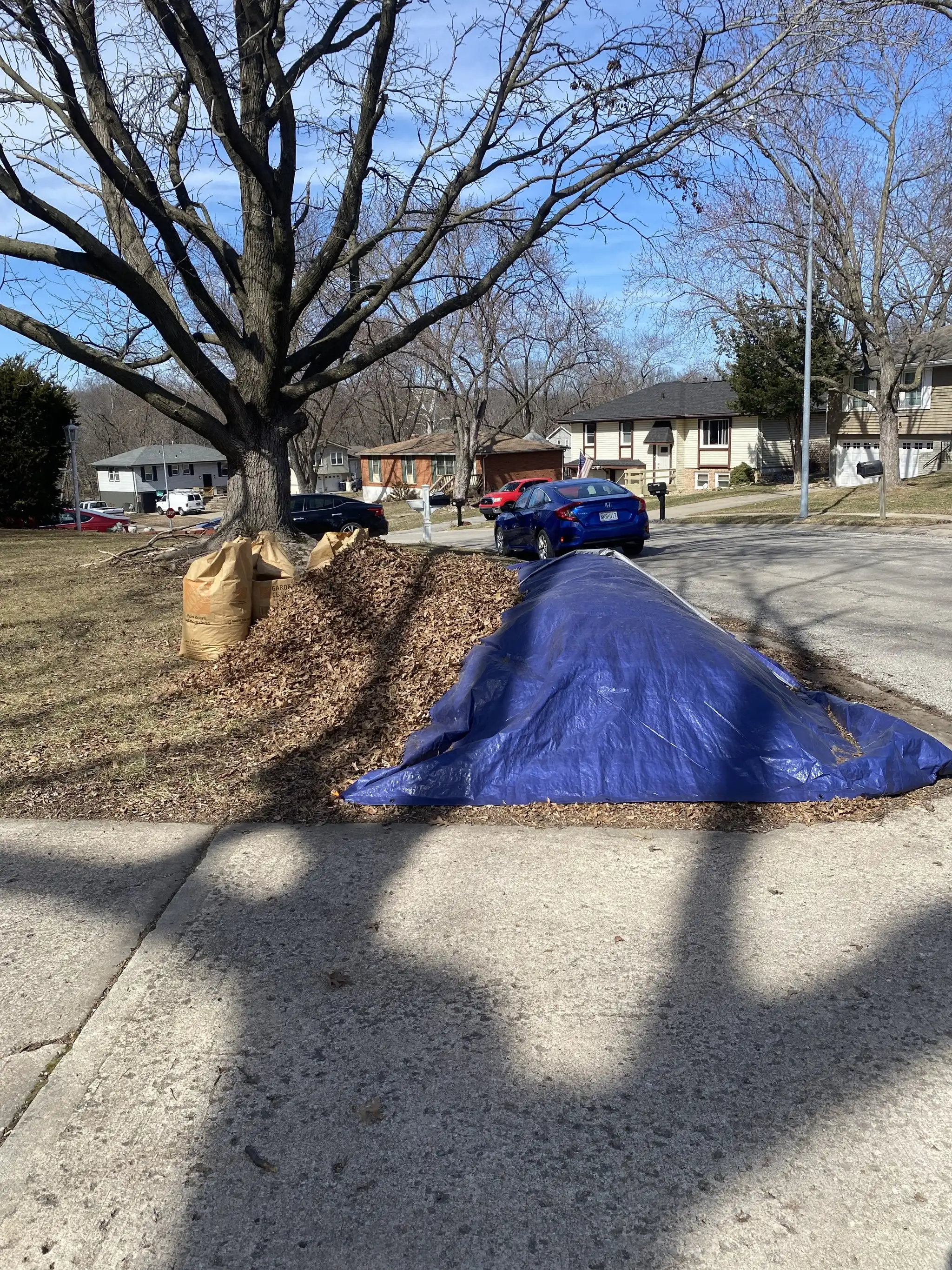 Seasonal services by Urban Diamond