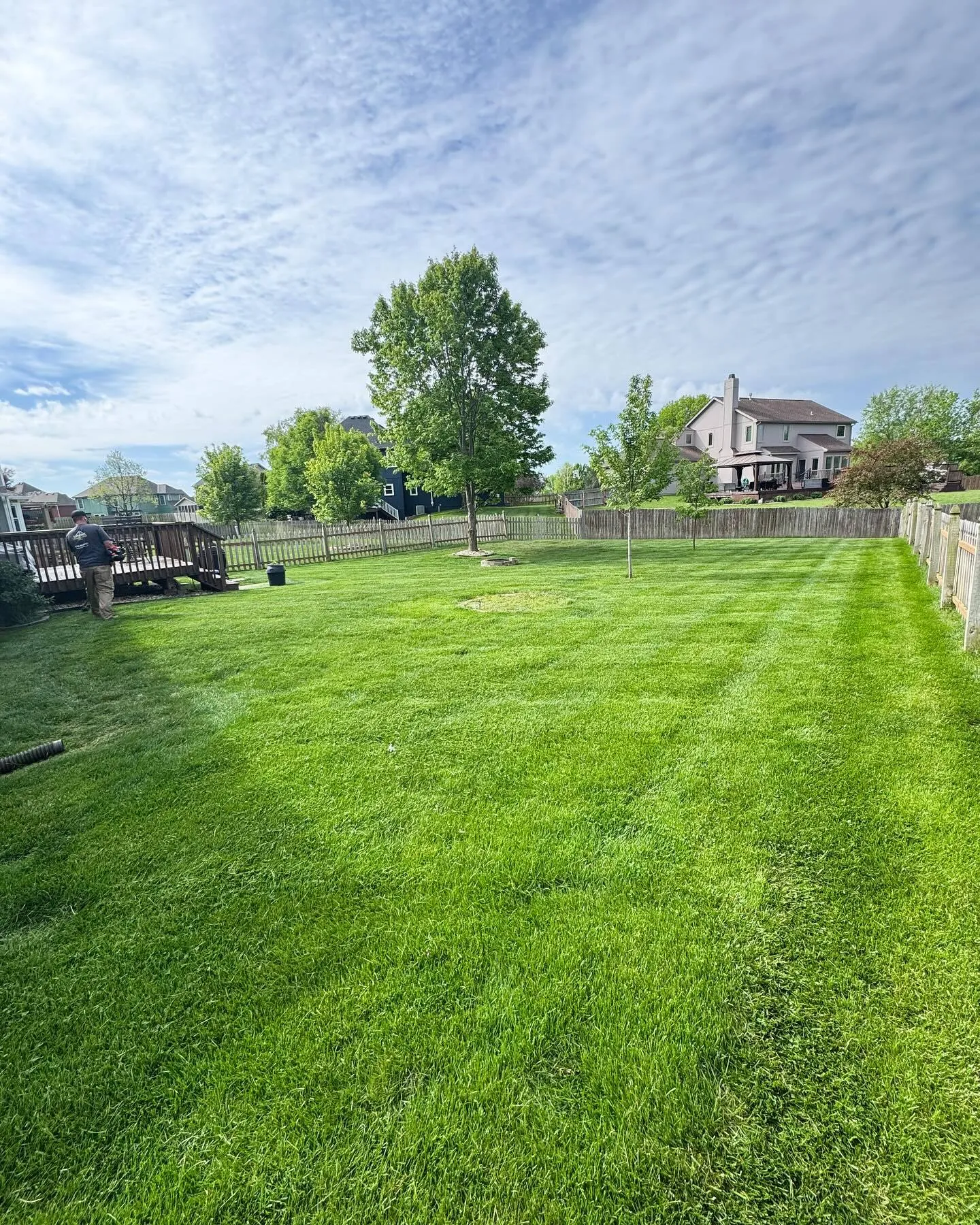 Freshly mowed, weed-free lawn