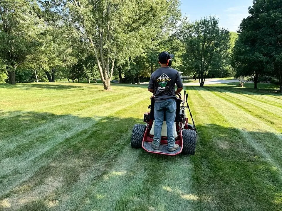 Professional backyard mowing with clean cut finish