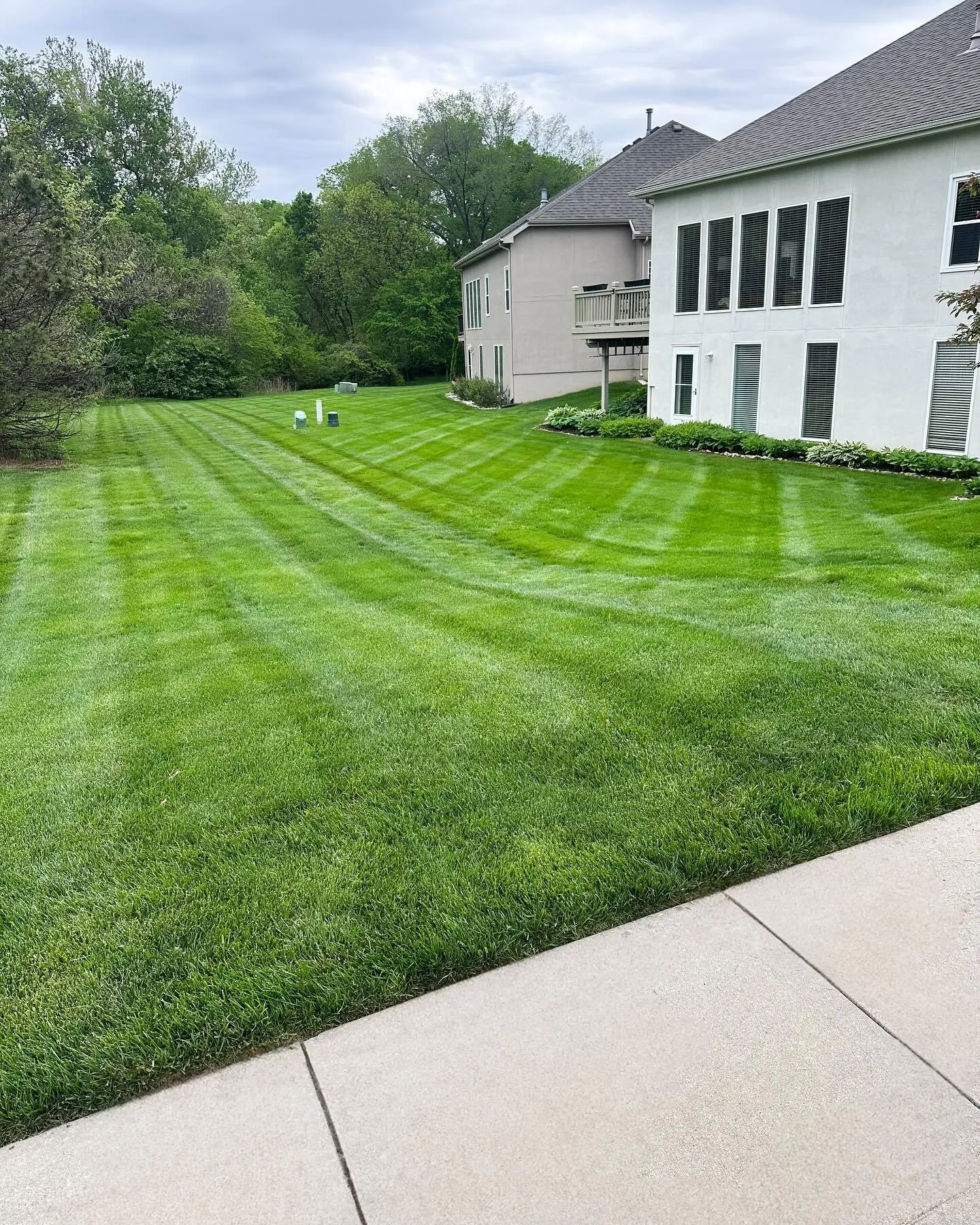 Thick, healthy lawn after fertilization program