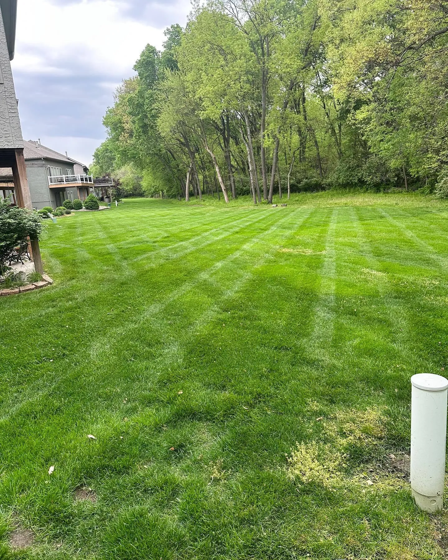 Clean straight lawn stripes by professional lawn care service
