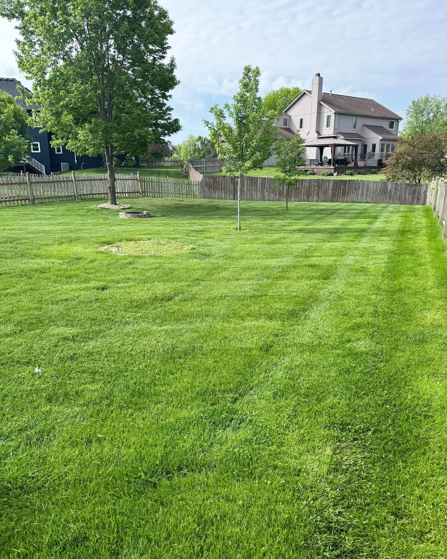 Backyard lawn striping showing straight parallel lines