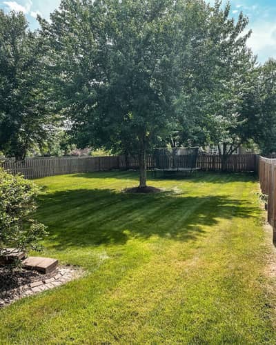Backyard lawn with stripes around trees