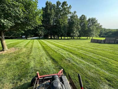 Large lawn with professional striping pattern